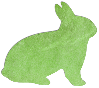 Bunny shape