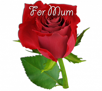 mothers-day_11